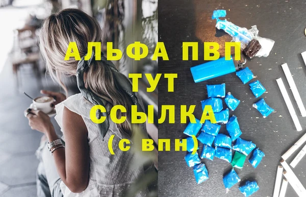СК Туринск