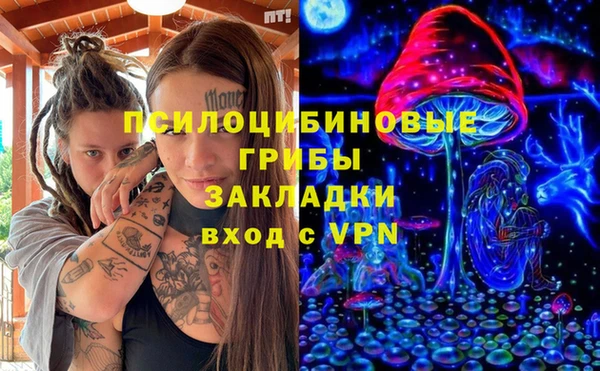 PSILOCYBIN Куйбышев