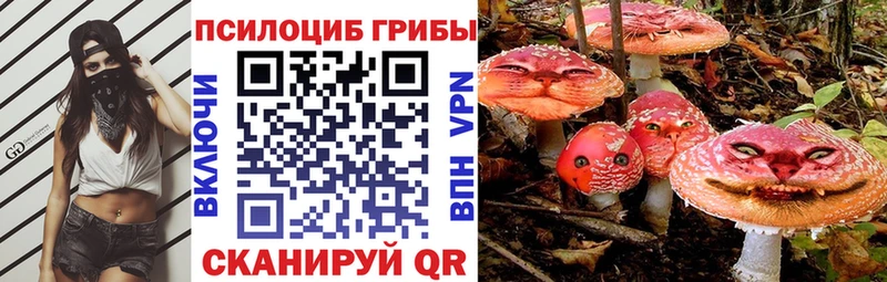 Псилоцибиновые грибы Magic Shrooms  купить наркоту  Хвалынск 